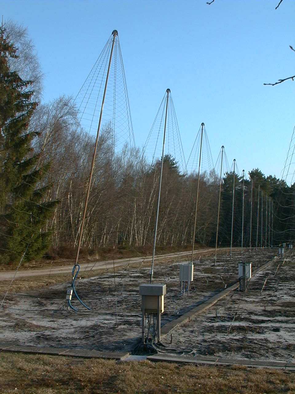 A perspective on a line of log-periodic antennas of the Decameter Array of Nançay.